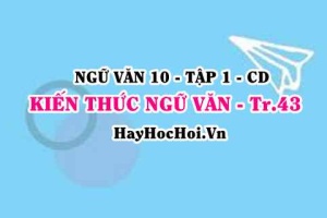 Soạn bài Kiến thức ngữ văn trang 43 lớp 10 Cánh Diều tập 1